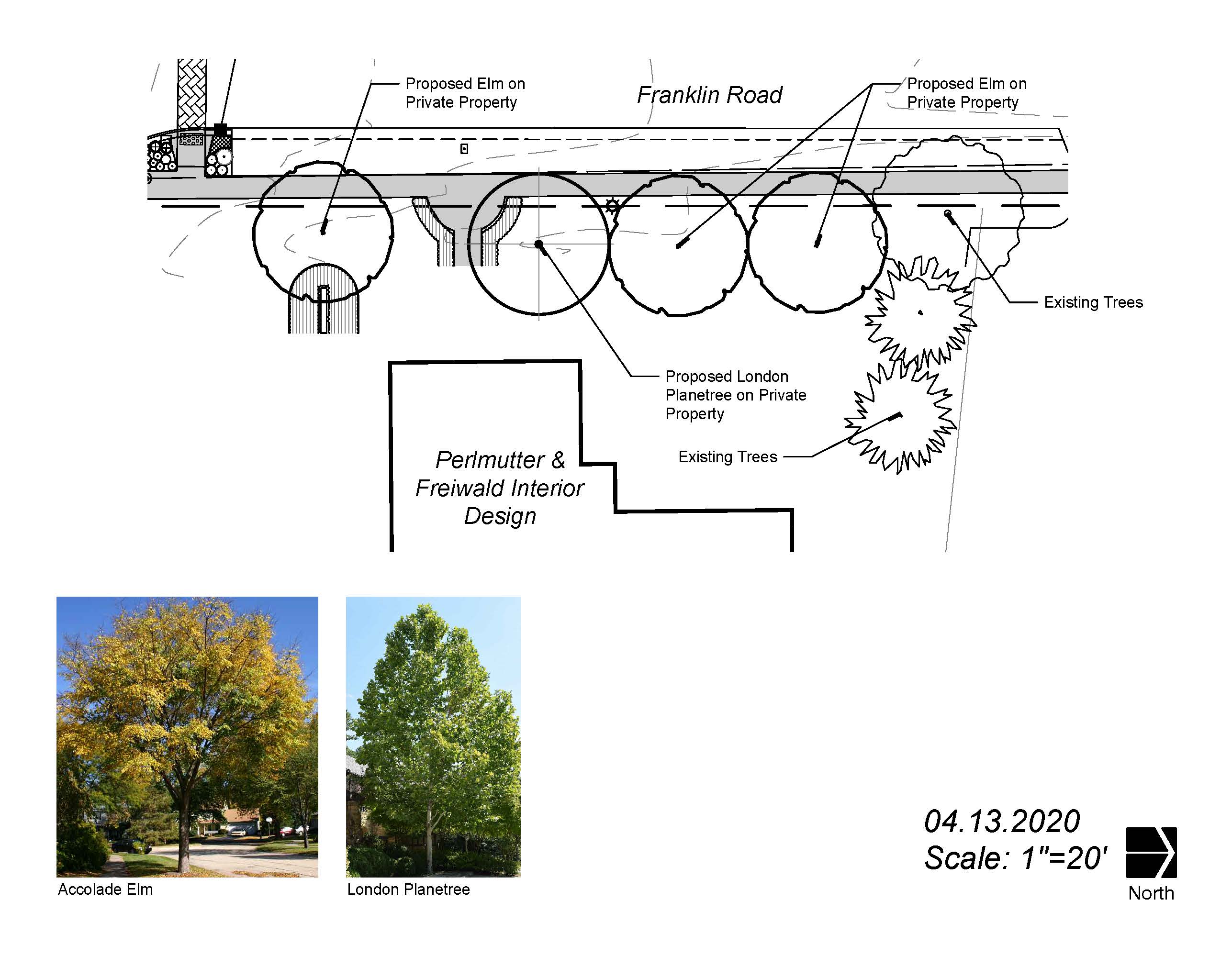3  Interior Design Trees_2020 04 13